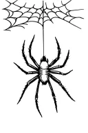 spider hanging from a web on a string design small tattoo design idea
