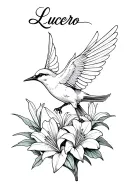 barn swallow bird back with the cursive writing of "Lucero" under the wing and 3 lilies surrounding the bird  tattoo design idea