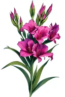 Fine Line Gladiolus tattoo design idea