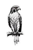 realistic red tailed hawk tattoo design idea