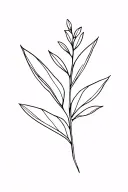 Neda plant tattoo design idea