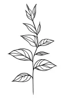 Neda plant tattoo design idea