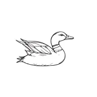 Mallard Duck tattoo design idea