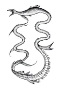 PISCES AND AQUARIUS SPINE AND SCRIPT TATTOO FINE LINE tattoo design idea