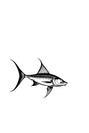 sailfish tattoo design idea