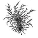 tumbleweed tattoo design idea