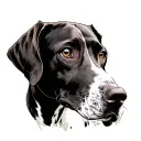 German Shorthaired Pointer tattoo design idea