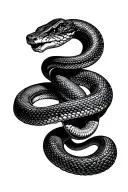 snake wrapped around arm tattoo design idea
