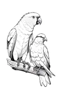 a parrot, a dove and a raven perched together representing friendship tattoo design idea
