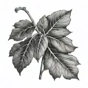 fig leaf tattoo design idea