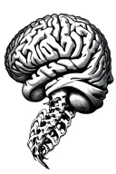 Brain nervous system spine tattoo design idea