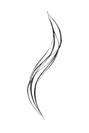 spin tattoo tattoo design idea