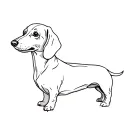 Dachshund full body tattoo design idea