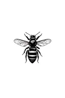 Honey bee tattoo design idea