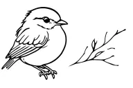 robin bird tattoo design idea