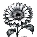 Gerbera tattoo design idea