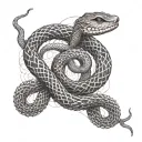 Create a tattoo design that represents the complexity of the mind, with snakes intertwined with swirling smoke patterns tattoo design idea