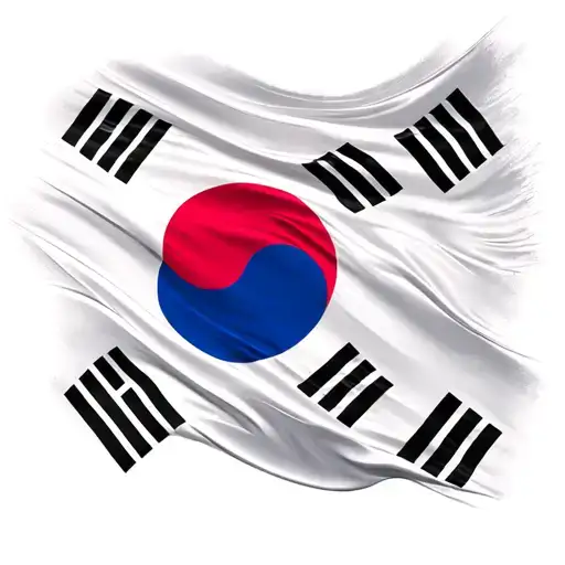 south Korean flag tattoo design idea