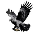 hawk tattoo design idea