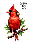 cardinal perched tattoo design idea