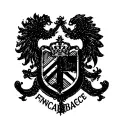 fenerbahce logo tattoo design idea