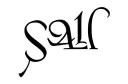 "SAL" tattoo design idea