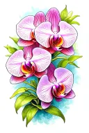 A traditional tattoo of a classic orchid design with bold lines and vibrant colors, reminiscent of vintage botanical illustrations tattoo design idea