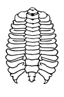 Spinal tattoo design idea