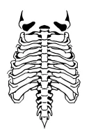 Spinal tattoo design idea