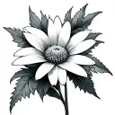 edelweiss flower tattoo design idea