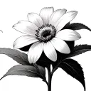 edelweiss flower tattoo design idea
