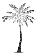 coconut tree silhouette tattoo design idea