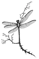 dragon fly tree tattoo design idea