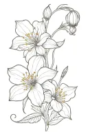 December and march birth flower tattoo design idea