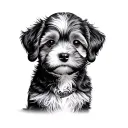 cavoodle tattoo design idea