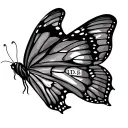 butterfly with the initials L D S in the webbing of the wing tattoo design idea