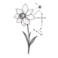 paper white narcissus and southern cross star constellation tattoo design idea