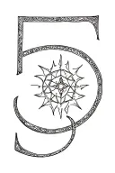 The number 5 (my personal Solar Plexus Chakra number), symbolizing personal power, adaptability, and transformation. tattoo design idea