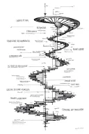 timeline of the universe diagram with a spiral staircase tattoo design idea