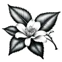 jasmine leaf wrapped tattoo design idea