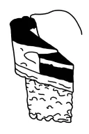 cheesecake thick black lines. tattoo design idea