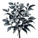 Eucalyptus tattoo design idea