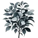 Eucalyptus tattoo design idea