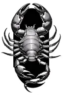 crab and scorpion intertwined tattoo design idea