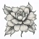 carnation from the top down view tattoo design idea