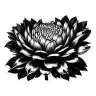 Japanese chrysanthemums have human claw marks inside. tattoo design idea