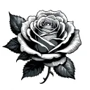 rose and invincible  tattoo design idea