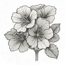 Geranium tattoo design idea
