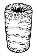 dates tattoo design idea