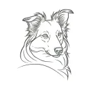 border collie tattoo design idea